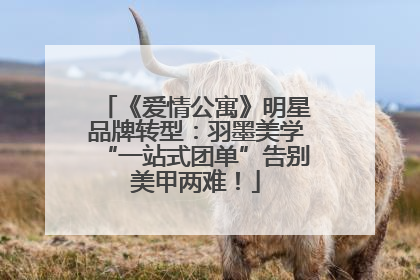 《爱情公寓》明星品牌转型：羽墨美学“一站式团单”告别美甲两难！