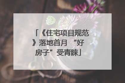 《住宅项目规范》落地首月 “好房子”受青睐