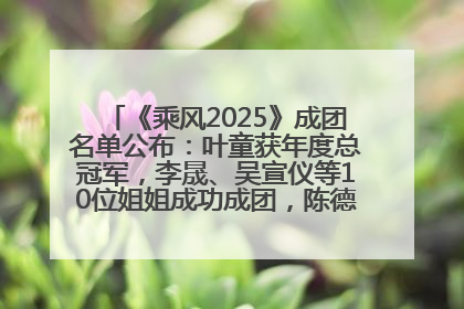 《乘风2025》成团名单公布：叶童获年度总冠军，李晟、吴宣仪等10位姐姐成功成团，陈德容获年度高光人物