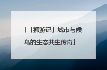 「狮游记」城市与候鸟的生态共生传奇