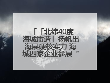 「北纬40度 海城质造」扬帆出海展硬核实力 海城四家企业参展“中东欧”展览会
