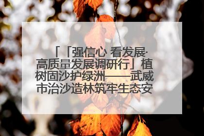 「强信心 看发展·高质量发展调研行」植树固沙护绿洲——武威市治沙造林筑牢生态安全屏障见闻