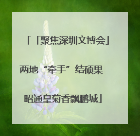 「聚焦深圳文博会」两地“牵手”结硕果 昭通皇菊香飘鹏城