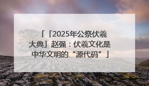 「2025年公祭伏羲大典」赵强：伏羲文化是中华文明的“源代码”