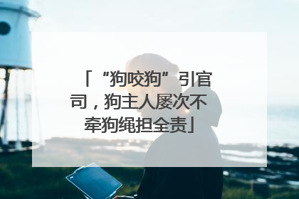 “狗咬狗”引官司，狗主人屡次不牵狗绳担全责