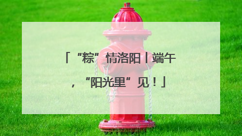 “粽”情洛阳丨端午，“阳光里”见！