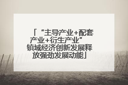 “主导产业+配套产业+衍生产业” 镇域经济创新发展释放强劲发展动能