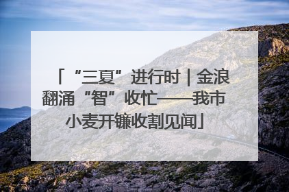 “三夏”进行时｜金浪翻涌“智”收忙——我市小麦开镰收割见闻