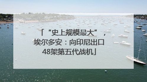 “史上规模最大”，埃尔多安：向印尼出口48架第五代战机