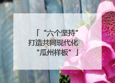 “六个坚持”打造共同现代化“瓜州样板”