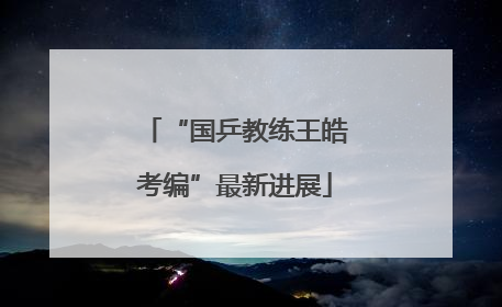“国乒教练王皓考编”最新进展