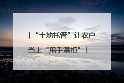“土地托管”让农户当上“甩手掌柜”