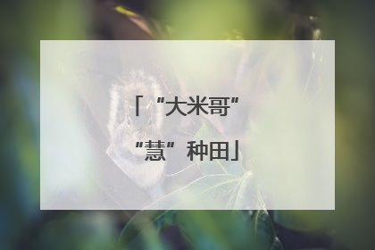 “大米哥”“慧”种田