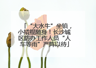 “大水牛”坐镇，小撬棍随身！长沙城区防办工作人员“人车等雨”严阵以待
