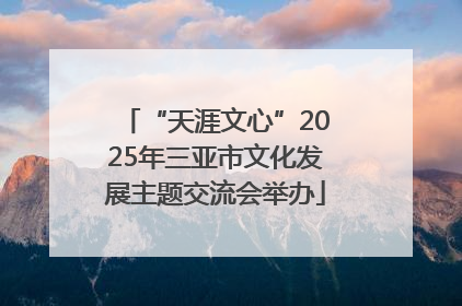 “天涯文心”2025年三亚市文化发展主题交流会举办