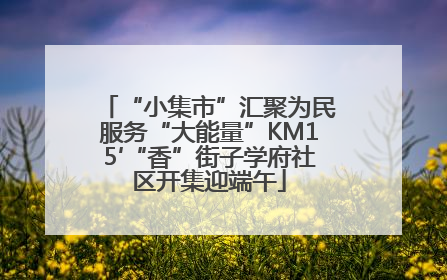 “小集市”汇聚为民服务“大能量”KM15′“香”街子学府社区开集迎端午