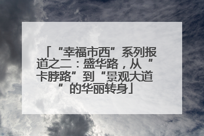 “幸福市西”系列报道之二：盛华路，从“卡脖路”到“景观大道”的华丽转身