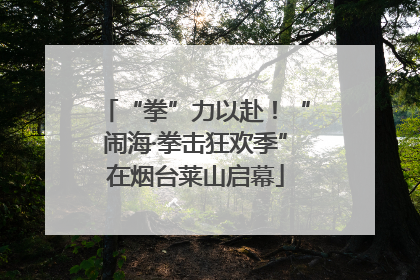 “拳”力以赴！“闹海·拳击狂欢季”在烟台莱山启幕
