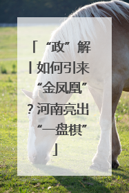 “政”解丨如何引来“金凤凰”？河南亮出“一盘棋”