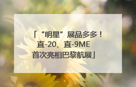 “明星”展品多多！直-20、直-9ME首次亮相巴黎航展