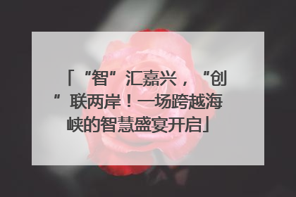 “智”汇嘉兴，“创”联两岸！一场跨越海峡的智慧盛宴开启