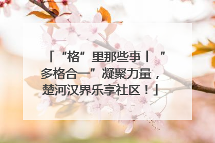 “格”里那些事丨“多格合一”凝聚力量，楚河汉界乐享社区！