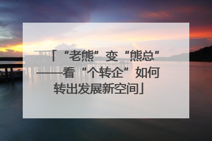 “老熊”变“熊总”——看“个转企”如何转出发展新空间