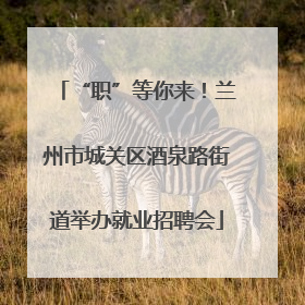 “职”等你来！兰州市城关区酒泉路街道举办就业招聘会