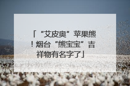“艾皮奥”苹果熊！烟台“熊宝宝”吉祥物有名字了