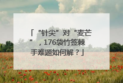 “针尖”对“麦芒”，176袋竹签棘手难题如何解？