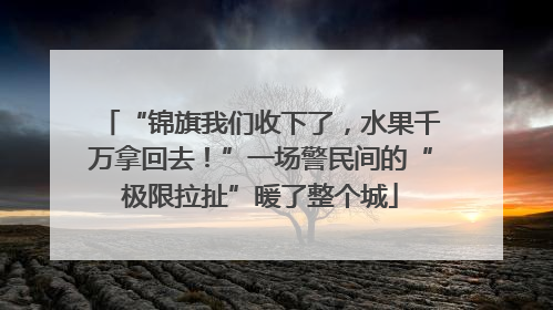 “锦旗我们收下了，水果千万拿回去！”一场警民间的“极限拉扯”暖了整个城