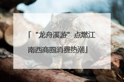“龙舟溪游”点燃江南西商圈消费热潮