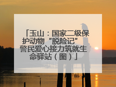 玉山：国家二级保护动物“脱险记” 警民爱心接力筑就生命驿站（图）