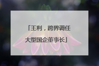 王利，跨界调任大型国企董事长