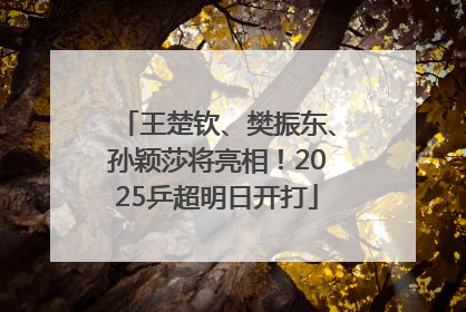 王楚钦、樊振东、孙颖莎将亮相！2025乒超明日开打