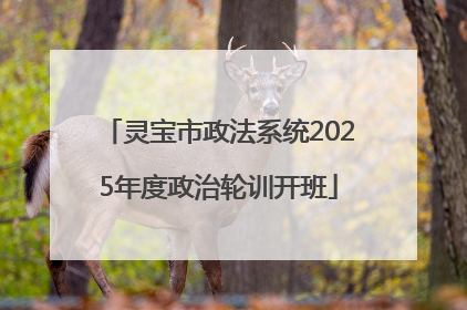 灵宝市政法系统2025年度政治轮训开班
