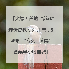 火爆！首趟“苏超”球迷高铁专列开售，549件“专列+球票”套票半小时售罄