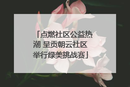点燃社区公益热潮 呈贡朝云社区举行绿美挑战赛