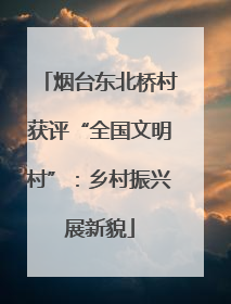 烟台东北桥村获评“全国文明村”：乡村振兴展新貌
