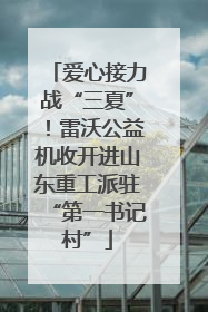 爱心接力战“三夏”！雷沃公益机收开进山东重工派驻“第一书记村”