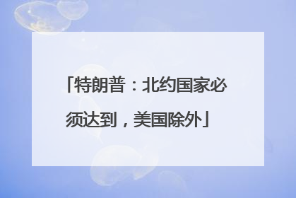 特朗普：北约国家必须达到，美国除外