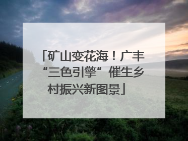 矿山变花海！广丰“三色引擎”催生乡村振兴新图景