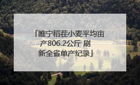 睢宁稻茬小麦平均亩产806.2公斤 刷新全省单产纪录