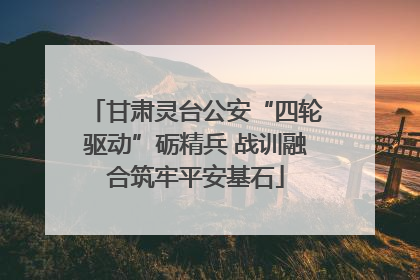 甘肃灵台公安“四轮驱动”砺精兵 战训融合筑牢平安基石