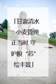 甘肃清水：小麦管理正当时 守护粮“芯”绘丰景