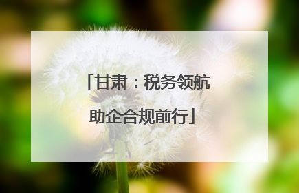 甘肃：税务领航 助企合规前行