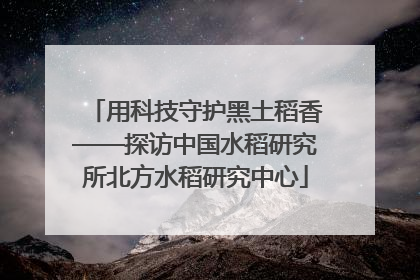 用科技守护黑土稻香——探访中国水稻研究所北方水稻研究中心