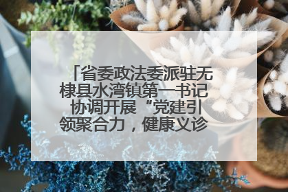 省委政法委派驻无棣县水湾镇第一书记 协调开展“党建引领聚合力，健康义诊惠乡亲”义诊活动