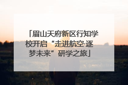眉山天府新区行知学校开启“走进航空·逐梦未来”研学之旅