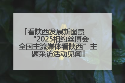 看陕西发展新图景——“2025相约丝博会 全国主流媒体看陕西”主题采访活动见闻